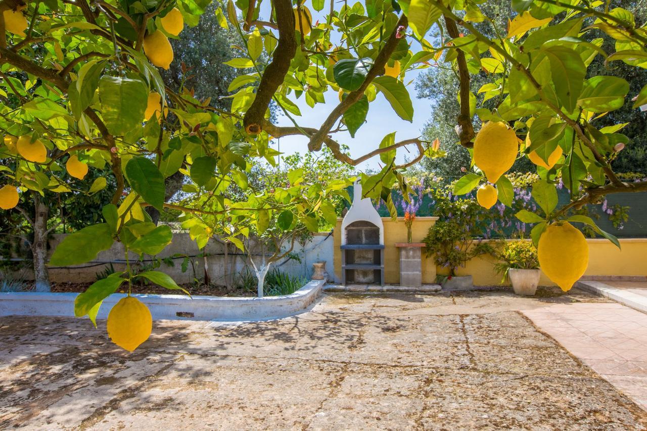 Casa Mediterranea Dei Normanni San Vito dei Normanni Extérieur photo
